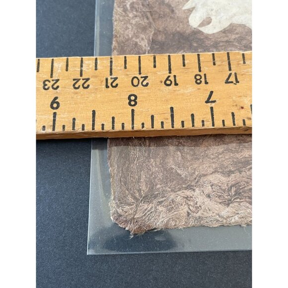 Handcrafted Amate Bark Paper Art With Pajarito Del Monte Design 11.5"x7.5" Appro - Picture 3 of 4